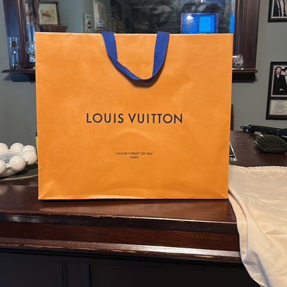 Louie Vuitton bag and dust bag - Picture 4 of 5